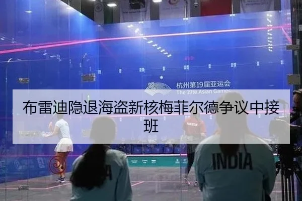 布雷迪隐退海盗新核梅菲尔德争议中接班