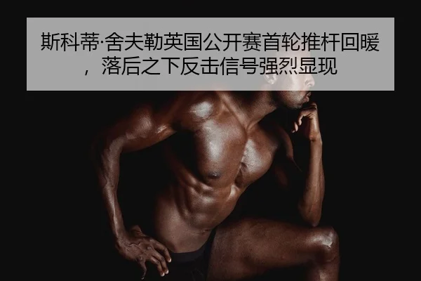 si-ke-di-she-fu-lei-ying-guo-gong-kai-sai-shou-lun-tui-gan-hui-nuan-luo-hou-zhi-xia-fan-ji-xin-hao-qiang-lie-xian-xian-2-589.jpg